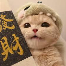 Ảnh đại diện người dùng Quỳnh